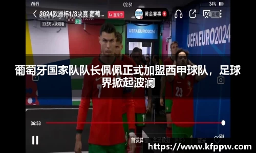 葡萄牙国家队队长佩佩正式加盟西甲球队，足球界掀起波澜